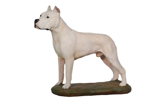 Argentiinalainen koira, Dogo Argentino - maalattu patsas, hahmopatsas, taiteilijan valmistama, Art-Dog tuotemerkki