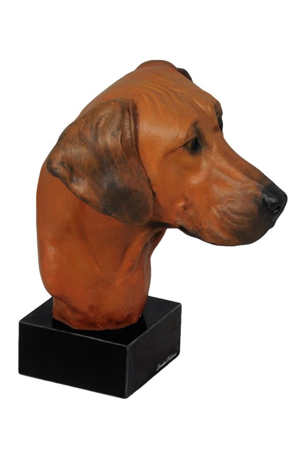 Rhodesiankoira, afrikkalainen leijonakoira - maalattu patsas, hahmopatsas, taiteilijan valmistama, Art-Dog tuotemerkki