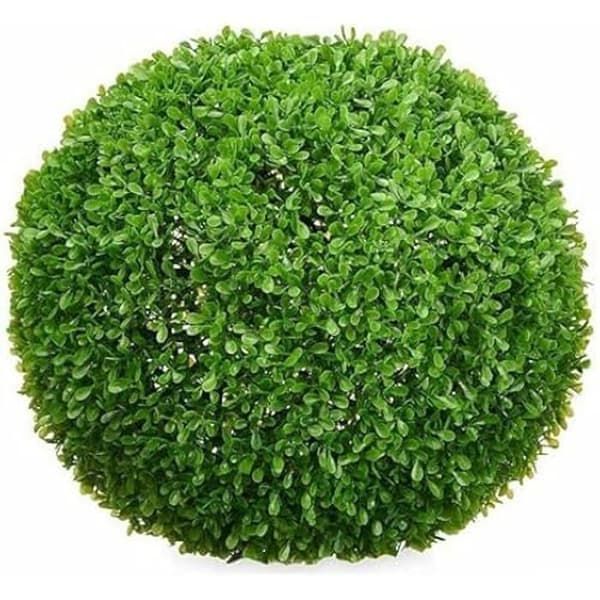 Dekorativ växt - Ibergarden - Kulblad - Plast - 37 x 37 x 37 cm - 4 enheter