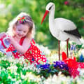 Miniatyrbild 2 av 6: Relaxdays Trädgårdsstaty Stork, Dekorationsfigur, häger skydd, födelse, 80 x 22 x 64 cm, vit/röd
