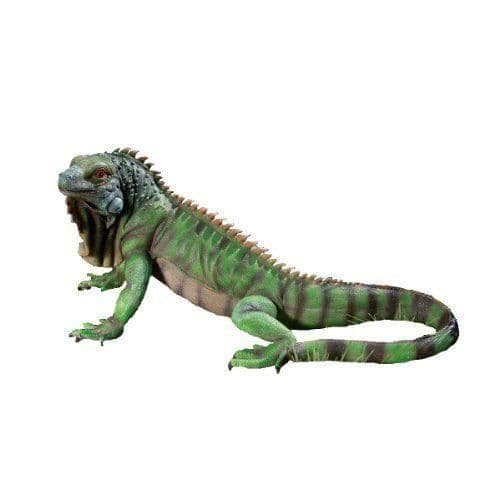 Design Toscano av Blagdon QL56991 Iggy Statue...