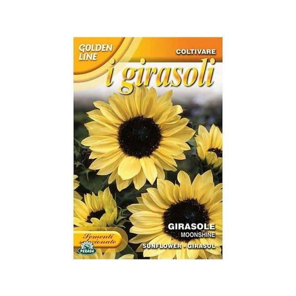 Sementer av Solros månsken trädgård blommor frön