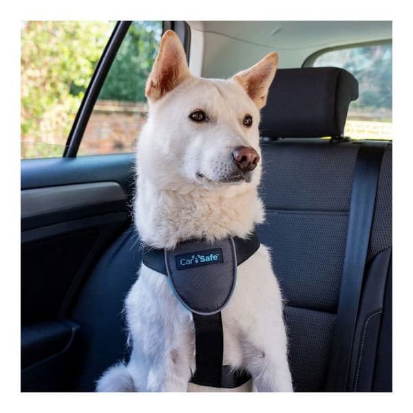 Hundesele Company of Animals CarSafe Sort Størrelse M