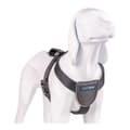 Miniatyrbilde 8 av 9: Hundesele Company of Animals CarSafe Svart Størrelse S