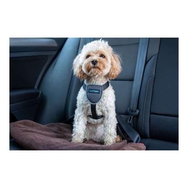 Hundsele Company of Animals CarSafe Svart Storlek S