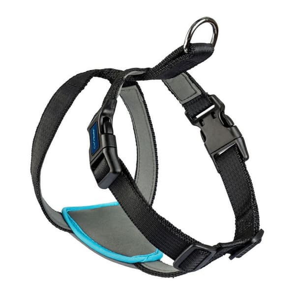 Hundsele Company of Animals CarSafe Svart Storlek S