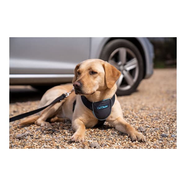 Hundsele Company of Animals CarSafe Svart Storlek S
