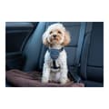 Miniatyrbillede 3 af 9: Hundesele Company of Animals CarSafe Sort Størrelse S