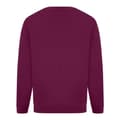 Miniatyrbilde 2 av 4: Absolute Apparel Mens Sterling Sweat