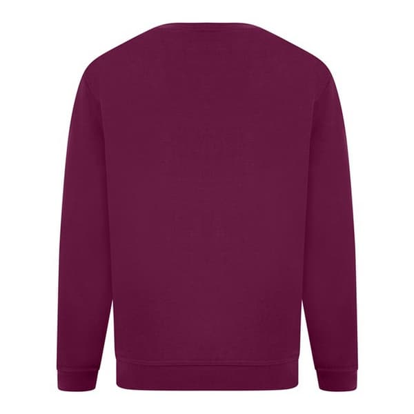 Absolute Apparel Mens Sterling Sweat