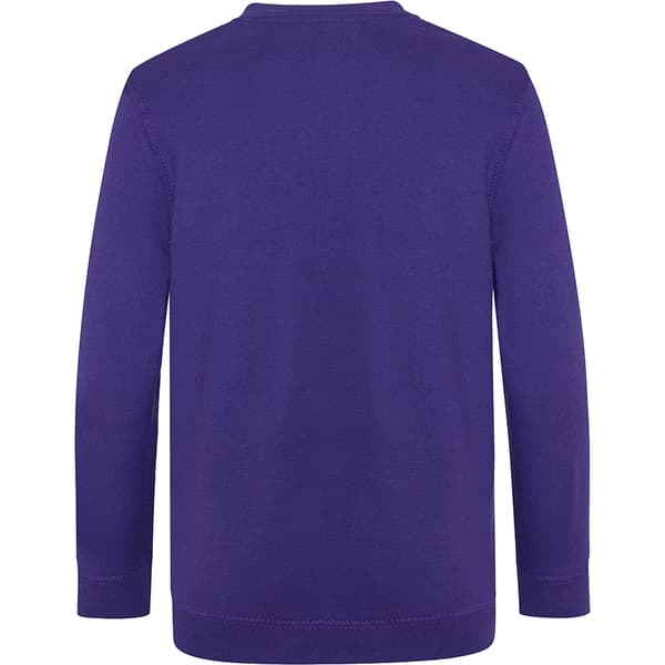 AWDis Academy Childrens/Kids Junior V Neck School Jumper/Sweatshirt