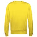 Miniatyrbild 1 av 3: Awdis Just Hoods AWDis Unisex Crew Neck Plain Sweatshirt (280 GSM)