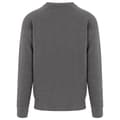 Miniatyrbilde 2 av 2: AWDis Just Hoods Mens Graduate Heavyweight Sweatshirt
