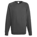 Miniatyrbilde 1 av 2: Fruit Of The Loom Mens Lightweight Raglan Sweatshirt (240 GSM)