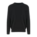 Miniatyrbilde 1 av 2: AWDis Ecologie Adults Unisex Taroko Regen Jumper