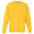Pikkukuva 1 / 3: Fruit Of The Loom Childrens Unisex Raglan Sleeve Sweatshirt