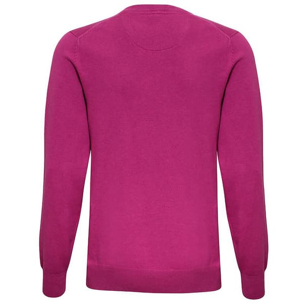 Asquith & Fox Herre Cotton Rich V-hals sweater