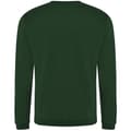 Miniatyrbild 2 av 2: Pro RTX Pro Sweatshirt för män
