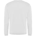 Miniatyrbild 2 av 2: Pro RTX Pro Sweatshirt för män