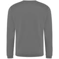 Miniatyrbild 2 av 2: Pro RTX Pro Sweatshirt för män