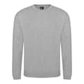 Miniatyrbild 1 av 2: Pro RTX Pro Sweatshirt för män