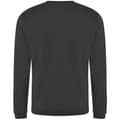 Miniatyrbild 2 av 2: Pro RTX Pro Sweatshirt för män