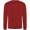 Miniatyrbild 2 av 2: Pro RTX Pro Sweatshirt för män