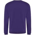 Miniatyrbild 2 av 4: Pro RTX Pro Sweatshirt för män