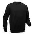 Miniatyrbild 1 av 2: Pro RTX Pro Sweatshirt för män