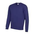 Miniatyrbilde 1 av 2: AWDis Academy Mens Crew Neck Raglan Sweatshirt