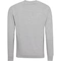 Miniatyrbilde 2 av 3: AWDis Academy Mens Crew Neck Raglan Sweatshirt