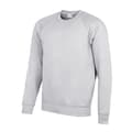 Miniatyrbilde 1 av 3: AWDis Academy Mens Crew Neck Raglan Sweatshirt