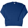 Miniatyrbild 1 av 2: SG Ladies/Womens Crew Neck långärmad tröja med lång ärm