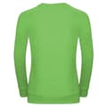 Pikkukuva 2 / 3: Russell Womens/Ladies HD Raglan Sweatshirt