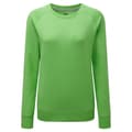 Pikkukuva 1 / 3: Russell Womens/Ladies HD Raglan Sweatshirt