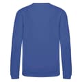 Miniatyrbild 2 av 2: Awdis Just Hoods Sweatshirt för barn/barn