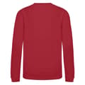Miniatyrbild 2 av 2: Awdis Just Hoods Sweatshirt för barn/barn
