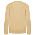 Miniatyrbild 2 av 2: Awdis Just Hoods Sweatshirt för barn/barn