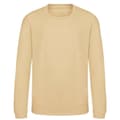 Miniatyrbild 1 av 2: Awdis Just Hoods Sweatshirt för barn/barn