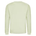 Miniatyrbild 2 av 2: Awdis Vuxna Unisex Just Hoods Sweatshirt