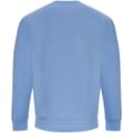 Miniatyrbild 2 av 2: Awdis Vuxna Unisex Just Hoods Sweatshirt