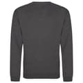 Miniatyrbild 2 av 2: Awdis Vuxna Unisex Just Hoods Sweatshirt