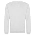 Miniatyrbild 2 av 2: Awdis Vuxna Unisex Just Hoods Sweatshirt