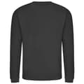 Miniatyrbild 2 av 2: Awdis Vuxna Unisex Just Hoods Sweatshirt