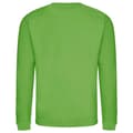 Miniatyrbild 2 av 2: Awdis Vuxna Unisex Just Hoods Sweatshirt