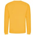 Miniatyrbild 2 av 2: Awdis Vuxna Unisex Just Hoods Sweatshirt