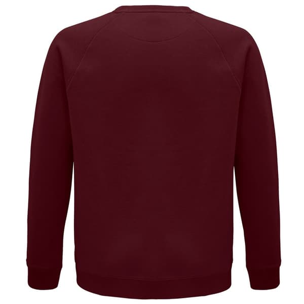 SOLS Unisex voksen Raglan-sweatshirt med økologisk rumvægt til voksne