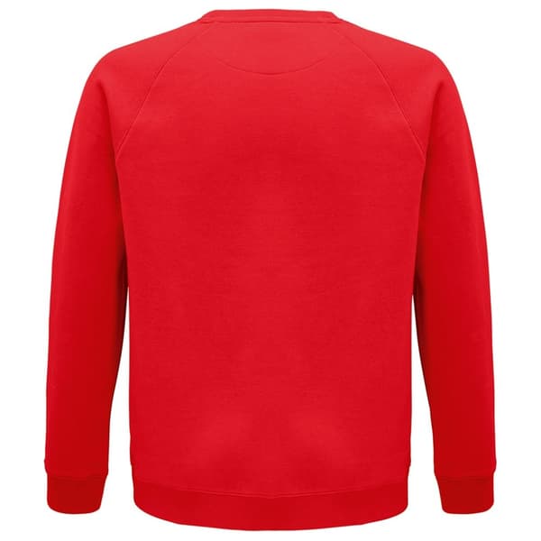 SOLS Unisex voksen Raglan-sweatshirt med økologisk rumvægt til voksne