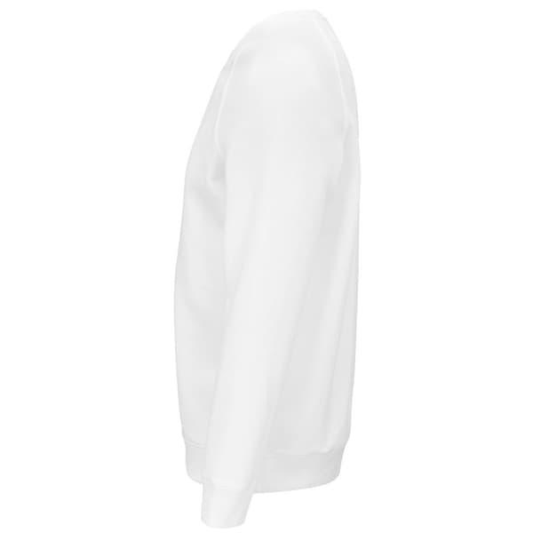 SOLS Unisex voksen Raglan-sweatshirt med økologisk rumvægt til voksne