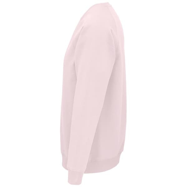 SOLS Unisex voksen Raglan-sweatshirt med økologisk rumvægt til voksne